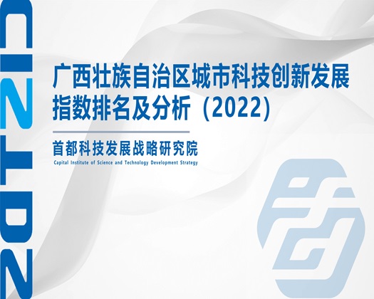 操屄来吧【成果发布】广西壮族自治区城市科技创新发展指数排名及分析（2022）